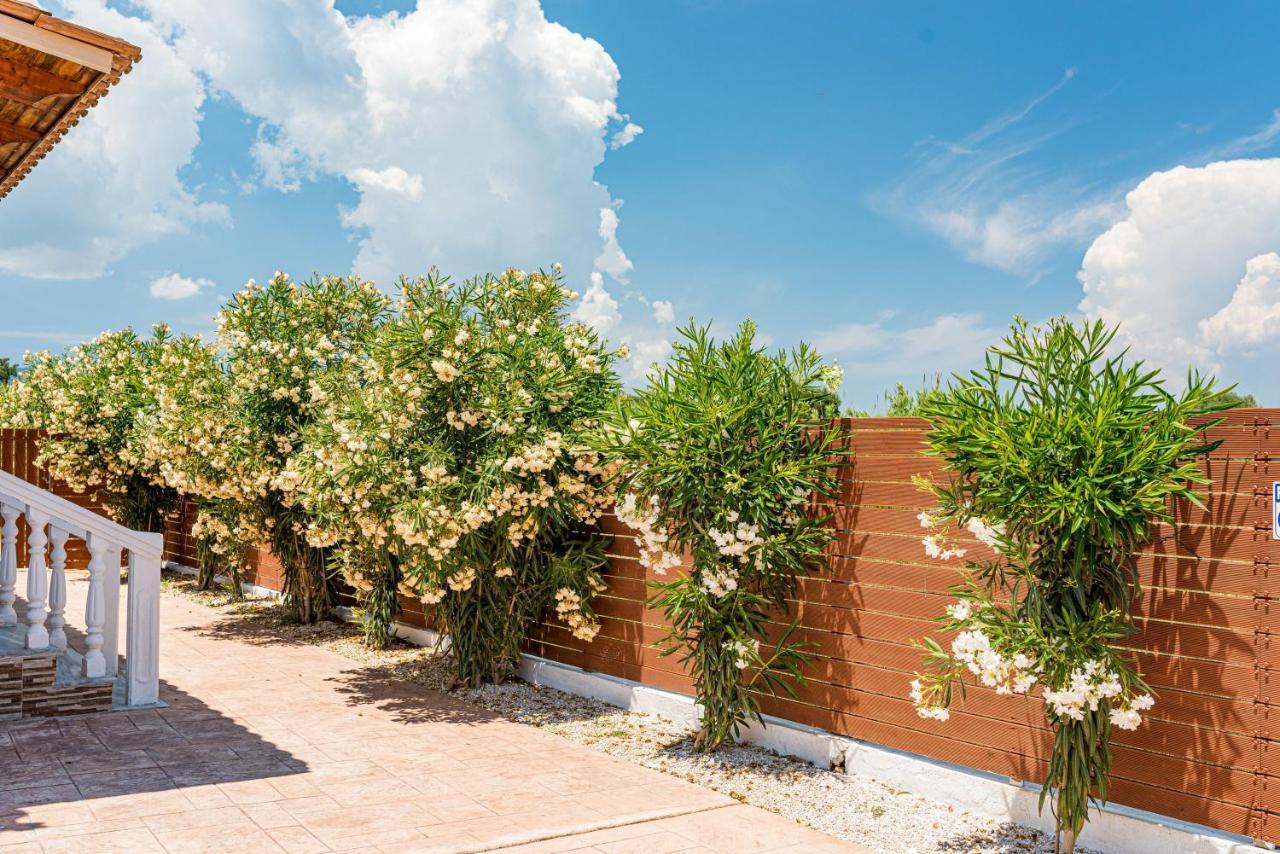 Blossom Villa Laganas Exterior photo